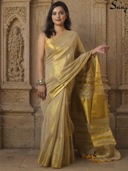 golden tissue saree